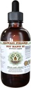 NIU Bang Zi Alcohol-Free Liquid Extract, NIU Bang Zi, Burdock (Arctium Lappa) Seed Glycerite Natural Herbal Supplement, Hawaii Pharm, USA 2 fl.oz