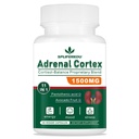 11-in-1 Adrenal Support Supplement, 60 Capsules | Cortisol Supplement with Pantothenic Acid and Ashwagandha - Supports Healthy Adrenal Function, Energy and Relaxation