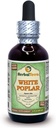 White Poplar (Populus Alba) Glycerite, Dried Bark Alcohol-Free Liquid Extract (Brand Name: HerbalTerra, Proudly Made in USA) 2 fl.oz (60 ml)
