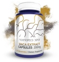 Nootropics Depot Maca Root Extract Capsules | 5% Macamides | Maca Supplement | Lepidium meyenii | Energy, Mood & Vitality Support | Maca Root Capsules for Women and Men | 60ct