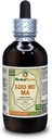 Luo Bu Ma, Dogbane (Apocynum Venetum) Tincture, Dried Leaf Liquid Extract (Brand Name: HerbalTerra, Proudly Made in USA) 4 fl.oz (120 ml)
