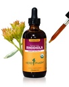 Herb Pharm Certified Organic Rhodiola Root Extract Drops for Energy, Endurance and Stamina, Alcohol-Free Glycerite, 4 Oz