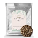 Starwest Botanicals Burdock Root Organic - Natural Source of Antioxidants, Loose Herb for Tea, Rice, Soup, & Stews, Cut & Sifted, Certified Kosher, Non-GMO - Bulk 1 lb Bag