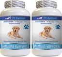 Immune Support Vitamins - Dogs Immune Support - Burdock Root Extract Organic - Burdock Root for Dogs - Immune Dog Pills, Immune Support for Dogs probiotic, Immune Support Supplement 2 Bot (120 Chews