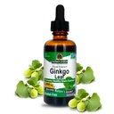 Nature's Answer Alcohol Free Ginko Leaf, 2 Ounce, 2 Count