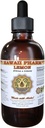Lemon Liquid Extract, Lemon (Citrus x Limon) Peel Tincture Supplement 2 oz