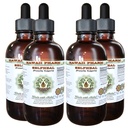 Hawaii Pharm Selfheal Alcohol-Free Liquid Extract, Professional Grade, Small Batch Crafted Selfheal (Prunella Vulgaris) Dried Herb Glycerite Natural Herbal Supplement, 4x4 fl.oz