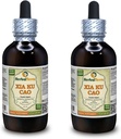 Xia Ku Cao, Prunella (Prunella Vulgaris) Tincture, Organic Dried Spike Powder Liquid Extract (Brand Name: HerbalTerra, Proudly Made in USA) 2x4 fl.oz (2x120 ml)